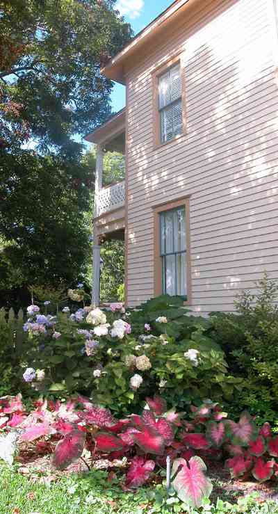 Pensacola:-Historic-Pensacola-Village:-Lear-Rocheblave-House_07aaa.jpg:  hydrangia, caladium, colonial village, victorian house